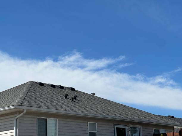 Best Roof Moss and Algae Removal  in Clyde Hill, WA
